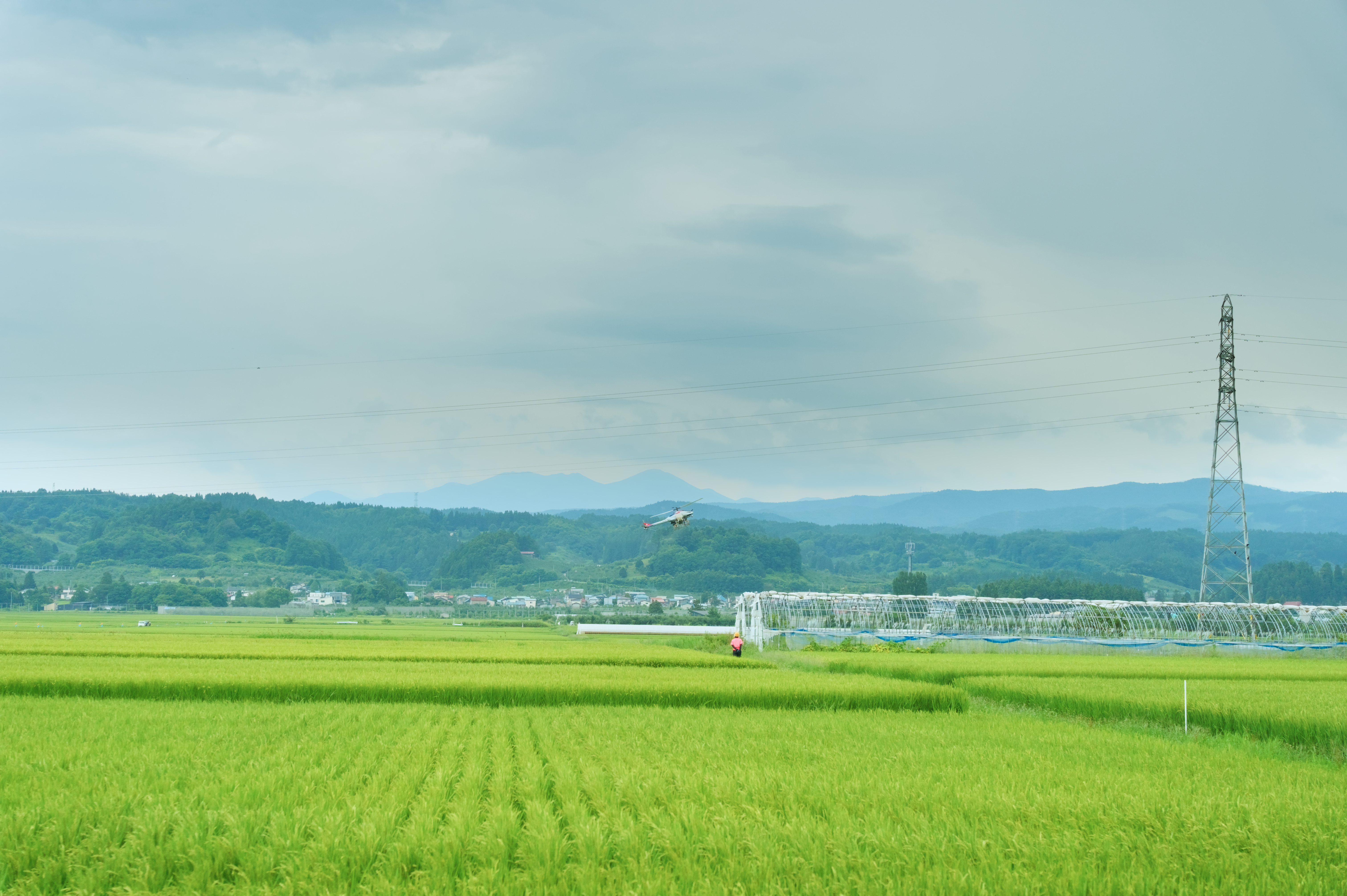 Technical field systems